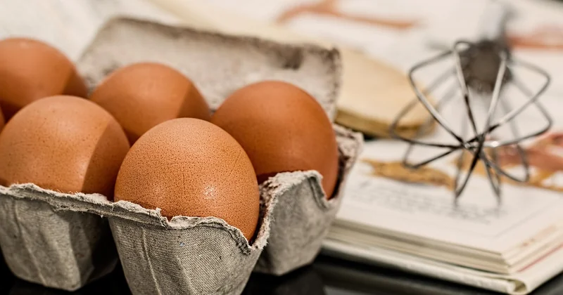 L'aide à la création de recettes : un outil d'inspiration, pas de décision